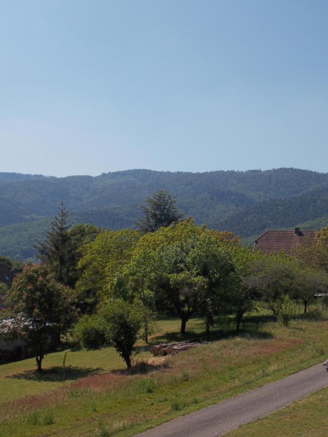 Maison De Vacances "Le Longchamp" Villa Osenbach Екстериор снимка